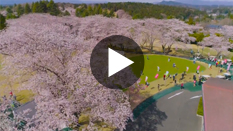 桜の宮PV動画